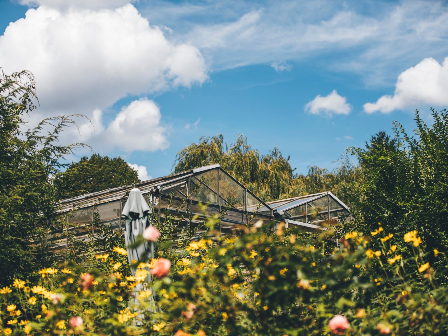 Neu angelegter Garten mit Pflasterweg und Beeten