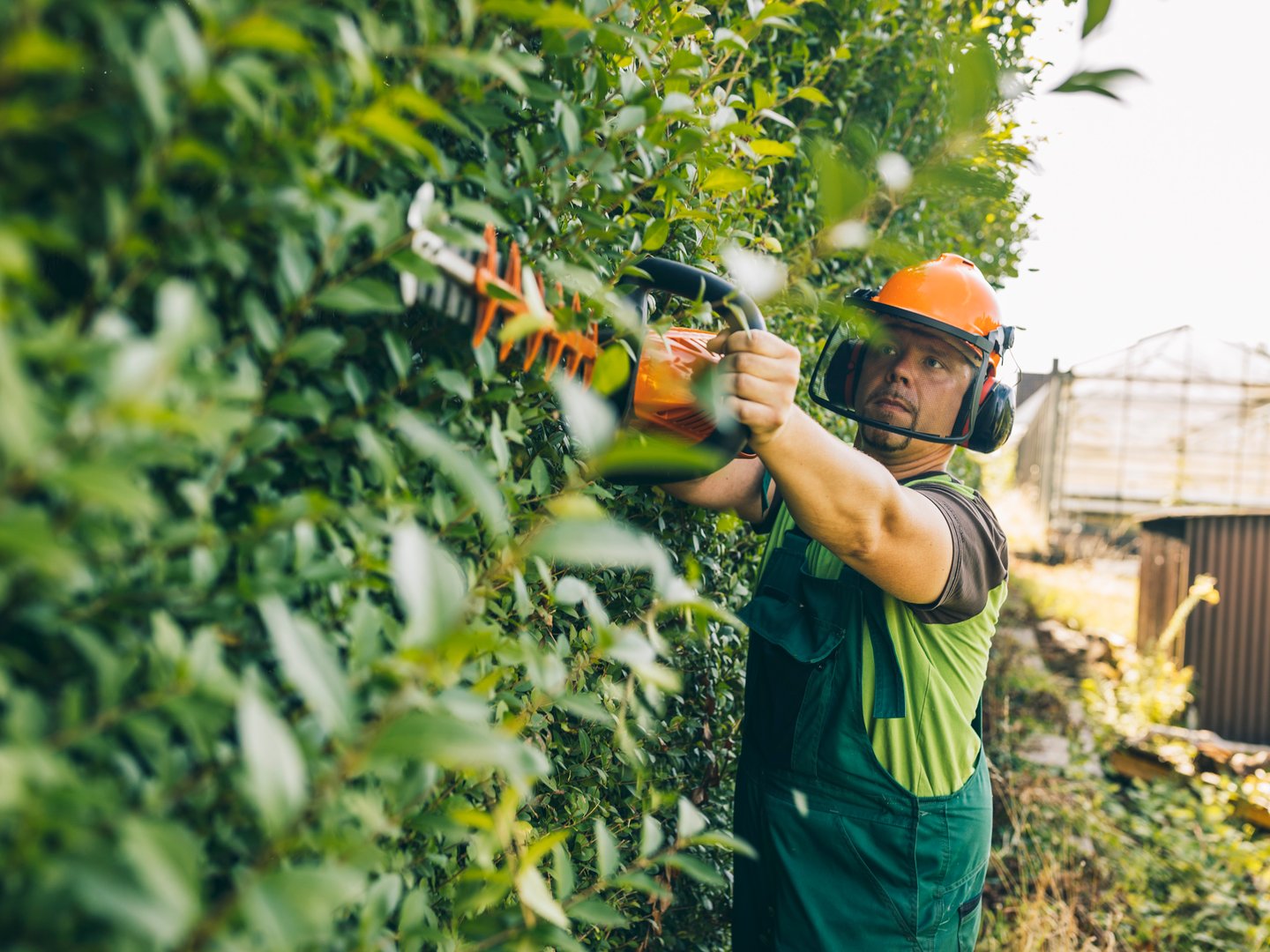 Gepflegte Gartenanlage mit Rasenfläche und Bepflanzung